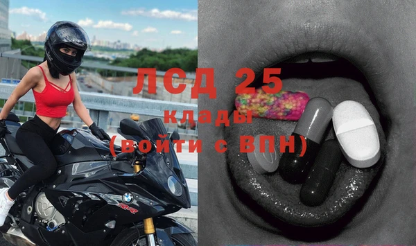 винт Аркадак