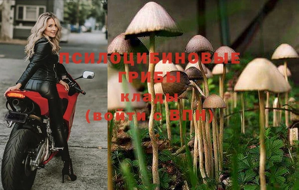 дживик Арсеньев