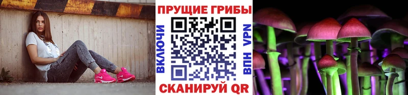 как найти наркотики  Кунгур  Галлюциногенные грибы прущие грибы 